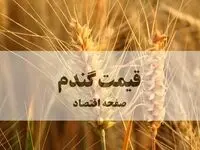 آخرین خبر از قیمت گندم امروز یکشنبه ۱۹ بهمن ۱۴۰۴ | قیمت حدودی خرید تضمینی گندم چقدر شد؟ 