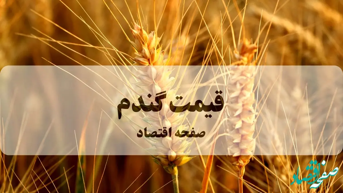 جنگ قیمت بر سر گندم ؛ چالش بر سر امنیت غذایی ایران | از نرخ خرید تضمینی گندم از ۲۲ هزار تا ۳۰ هزار تومان