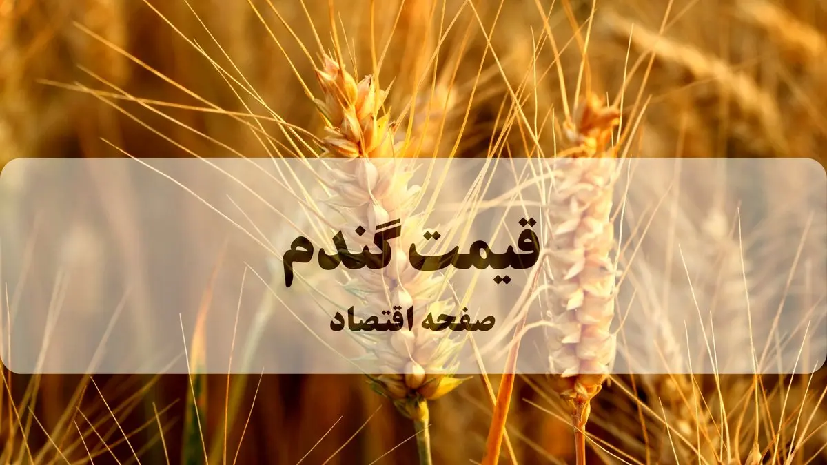 جنگ قیمت بر سر گندم ؛ چالش بر سر امنیت غذایی ایران | از نرخ خرید تضمینی گندم از ۲۲ هزار تا ۳۰ هزار تومان