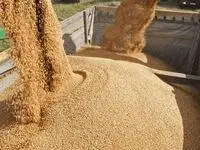بررسی مشکلات تأمین نهاده‌ها در جلسه اضطراری کمیسیون کشاورزی در روز دوشنبه