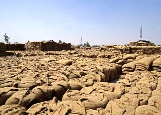 فقط چهل روز تا انفجار قیمت مواد غذایی | کود با ارزش تر از نفت