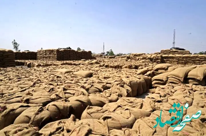 فقط چهل روز تا انفجار قیمت مواد غذایی | کود با ارزش تر از نفت