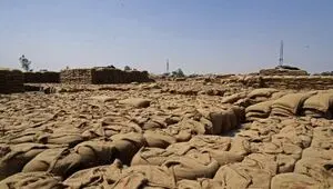 فقط چهل روز تا انفجار قیمت مواد غذایی | کود با ارزش تر از نفت