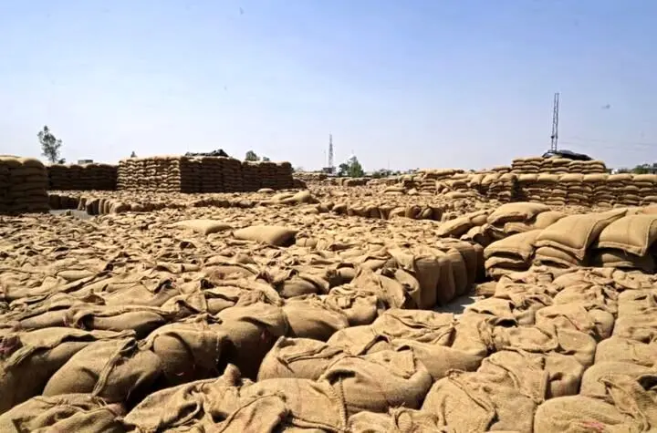 فقط چهل روز تا انفجار قیمت مواد غذایی | کود با ارزش تر از نفت