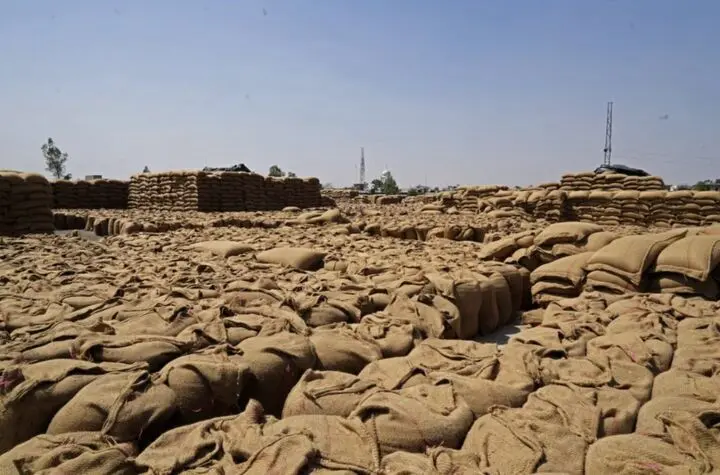 فقط چهل روز تا انفجار قیمت مواد غذایی | کود با ارزش تر از نفت