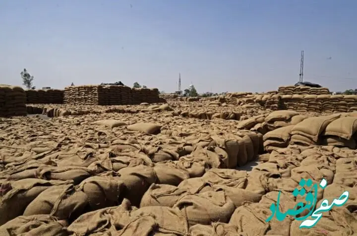 فقط چهل روز تا انفجار قیمت مواد غذایی | کود با ارزش تر از نفت