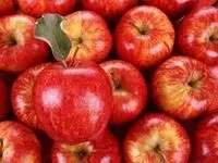آغاز توزیع میوه تنظیم بازار شب عید + جزئیات