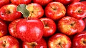آغاز توزیع میوه تنظیم بازار شب عید + جزئیات