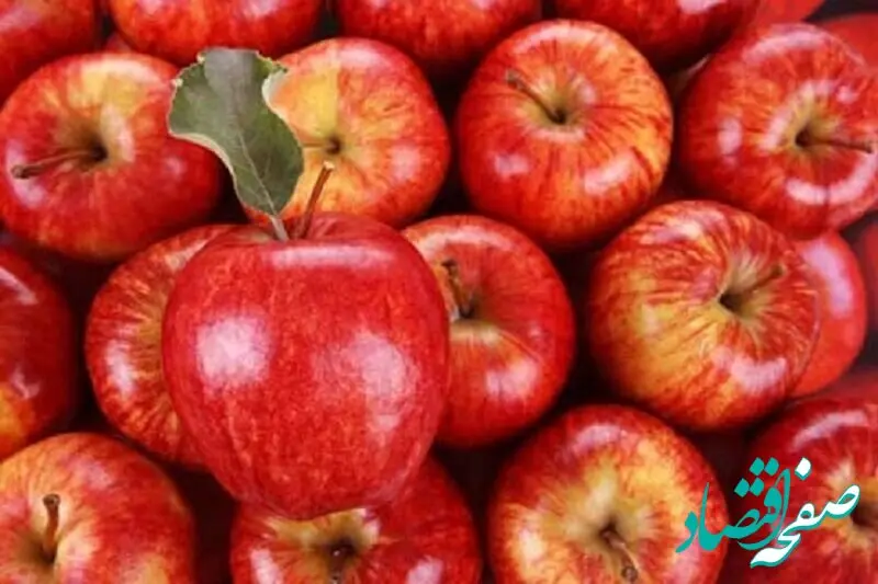 آغاز توزیع میوه تنظیم بازار شب عید + جزئیات