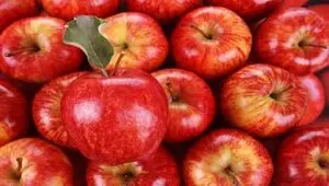 آغاز توزیع میوه تنظیم بازار شب عید + جزئیات