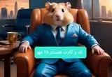 کارت و کد مورس همستر جمعه ۲۵ مهر ۱۴۰۴
