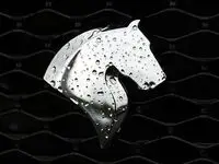 زیان ده هستیم / همه میخواهند با فروش خودرو سود کنند / می گویند رقابت کنید اما دستمان بسته است