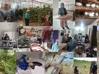 اهتمام بانک کشاورزی به توانمند سازی و فقرزدایی در 2000 روستای کشور با رویکرد بانکداری پیوندی