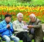 آغاز مرحله اول واریز تسهیلات قرض الحسنه بازنشستگان تامین اجتماعی