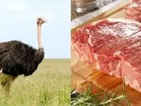 قیمت گوشت شترمرغ چند؟ + قیمت گوشت شترمرغ سه‌شنبه ۲۹ اردیبهشت