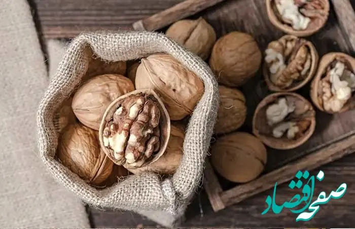 چگونه مغز گردو را برای مدت طولانی تازه نگه داریم؟