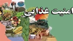 از شکست پروژه دشمن برای برهم زدن امنیت غذایی ایران تا تولید ۱۳.۵ میلیون تنی گندم و خودکفایی ۸۵ درصدی