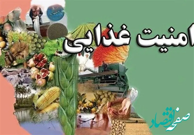 از شکست پروژه دشمن برای برهم زدن امنیت غذایی ایران تا تولید ۱۳.۵ میلیون تنی گندم و خودکفایی ۸۵ درصدی