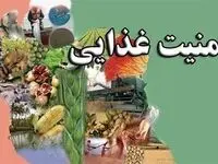 از شکست پروژه دشمن برای برهم زدن امنیت غذایی ایران تا تولید ۱۳.۵ میلیون تنی گندم و خودکفایی ۸۵ درصدی