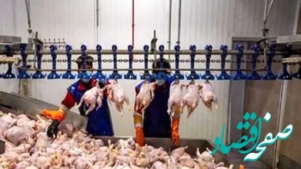 امان از روش عجیب مغازه داران برای گران فروشی مرغ