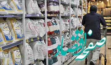 آخرین خبر از عرضه برنج ایرانی امروز 16 مرداد 1402 | کاهش ۲۰ تا ۳۰ درصدی قیمت در طرح جدید
