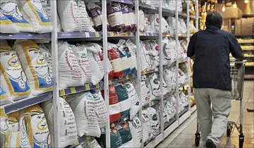 آخرین خبر از عرضه برنج ایرانی امروز 16 مرداد 1402 | کاهش ۲۰ تا ۳۰ درصدی قیمت در طرح جدید

