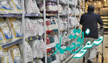 آخرین خبر از عرضه برنج ایرانی امروز 16 مرداد 1402 | کاهش ۲۰ تا ۳۰ درصدی قیمت در طرح جدید
