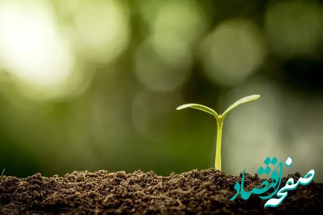 حضور واحد Hseسازمان منطقه آزاد اروند در همایش ملی مراقبت از خاک