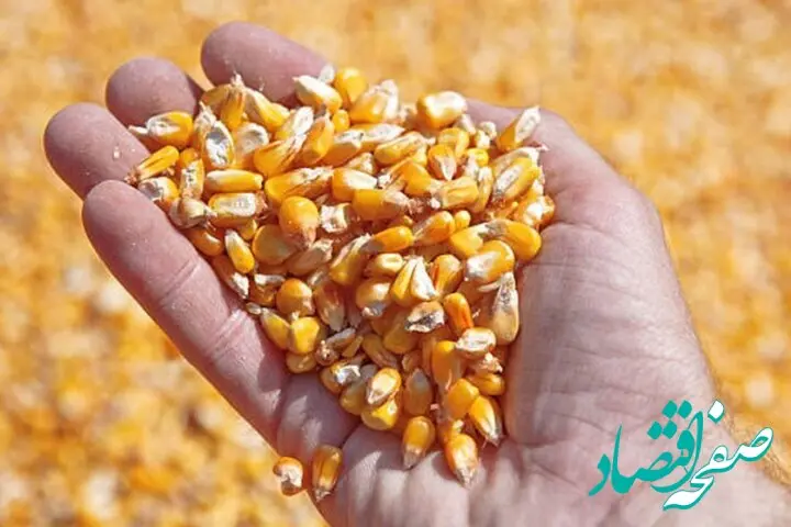آخرین وضعیت نهاده‌های وارداتی و تامین کالا در کشور