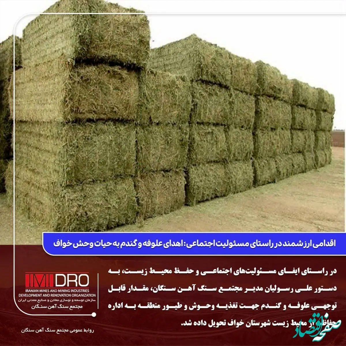 اقدامی ارزشمند در راستای مسئولیت اجتماعی: اهدای علوفه و گندم به حیات وحش خواف