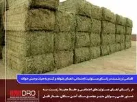اقدامی ارزشمند در راستای مسئولیت اجتماعی: اهدای علوفه و گندم به حیات وحش خواف