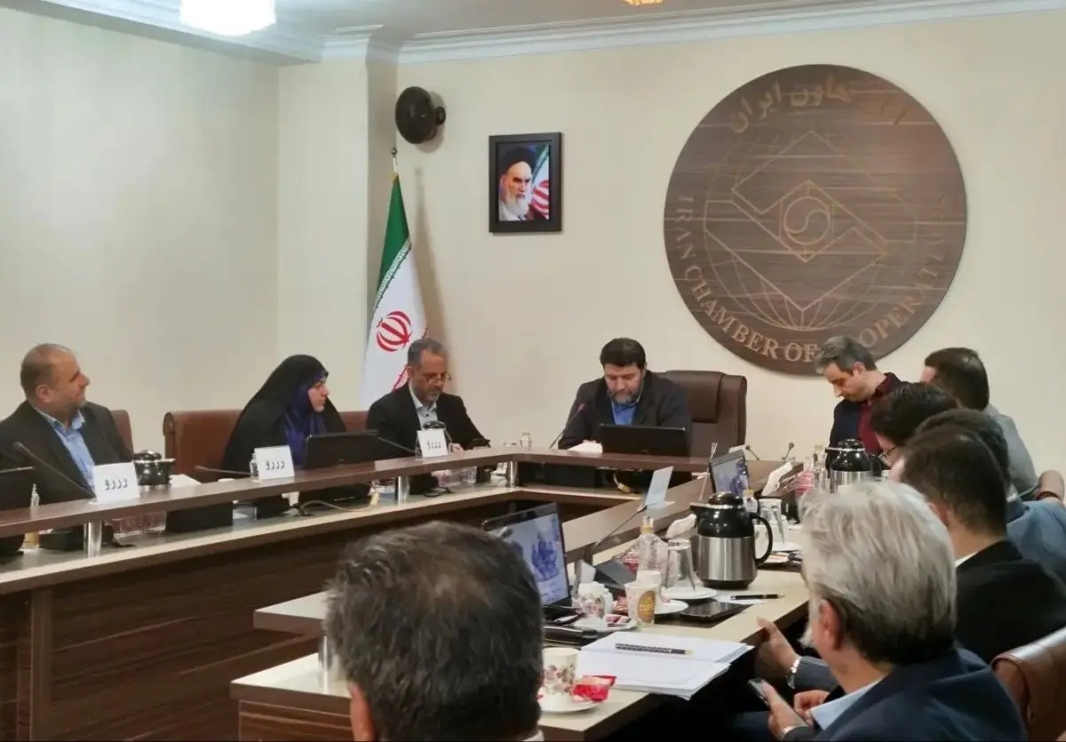 تکلیف احیای شورای عالی تامین اجتماعی و اصلاح مشاغل سخت و زیان آور به کجا کشیده شد؟ 