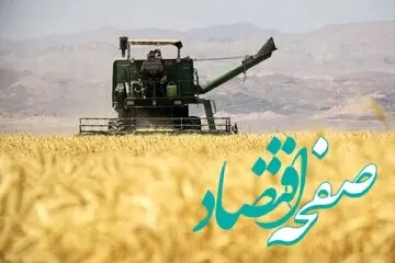 آخرین خبر رسمی درباره اصلاح قیمت گندم/ قیمت جدید گندم اعلام شد