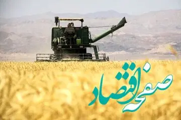 آخرین خبر رسمی درباره اصلاح قیمت گندم/ قیمت جدید گندم اعلام شد