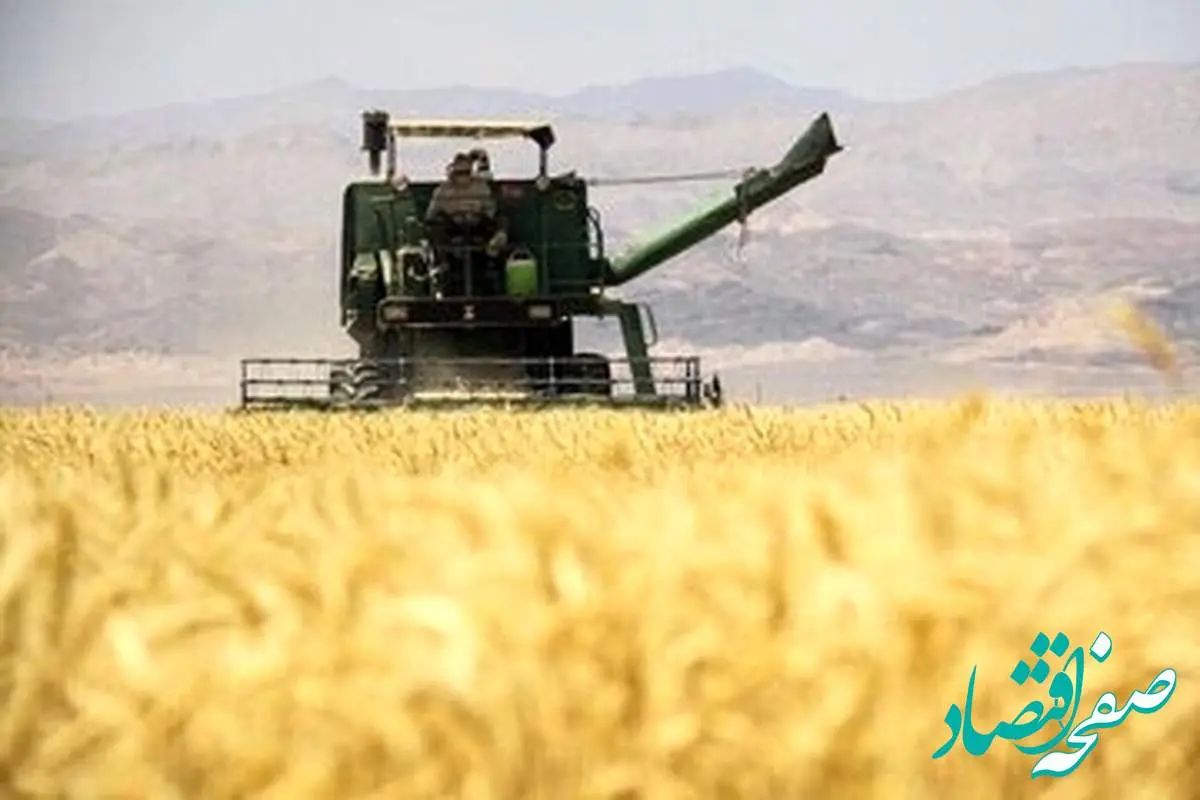 آخرین خبر رسمی درباره اصلاح قیمت گندم/ قیمت جدید گندم اعلام شد