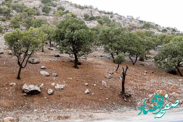 برای اولین بار، خاک‌های آلوده به ترکیبات نفتی در چهارمحال و بختیاری پاکسازی شد
