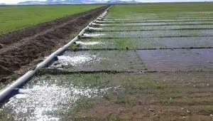 تخریب ۵۵ بنای غیرمجاز در اراضی کشاورزی 