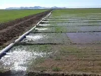 تخریب ۵۵ بنای غیرمجاز در اراضی کشاورزی 