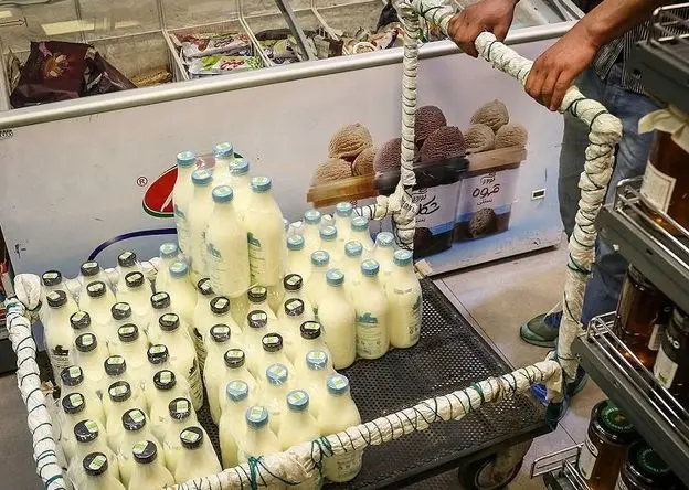 قیمت جدید لبنیات؛ شیر و ماست امروز جمعه ۷ آذر ۱۴۰۴ چند؟
