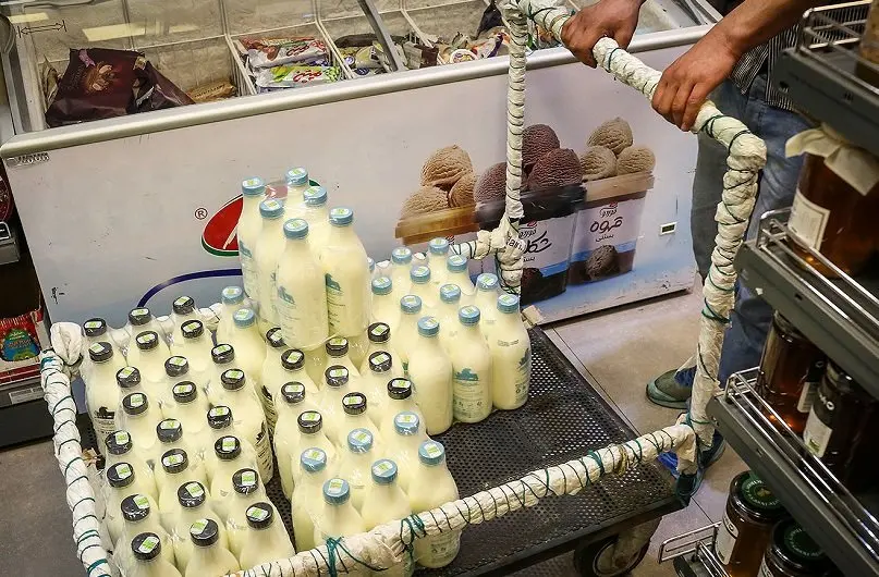 قیمت جدید لبنیات؛ شیر و ماست امروز جمعه ۷ آذر ۱۴۰۴ چند؟
