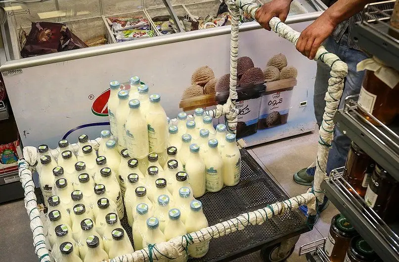 قیمت جدید لبنیات؛ شیر و ماست امروز جمعه ۷ آذر ۱۴۰۴ چند؟
