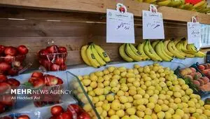 بحران عرضه در بازار میوه و تره‌بار؛ چرا قیمت محصولات کشاورزی در تابستان بالا می‌رود؟