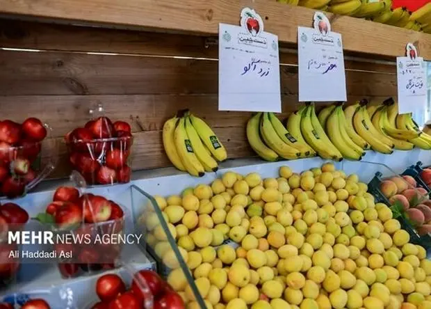 بحران عرضه در بازار میوه و تره‌بار؛ چرا قیمت محصولات کشاورزی در تابستان بالا می‌رود؟