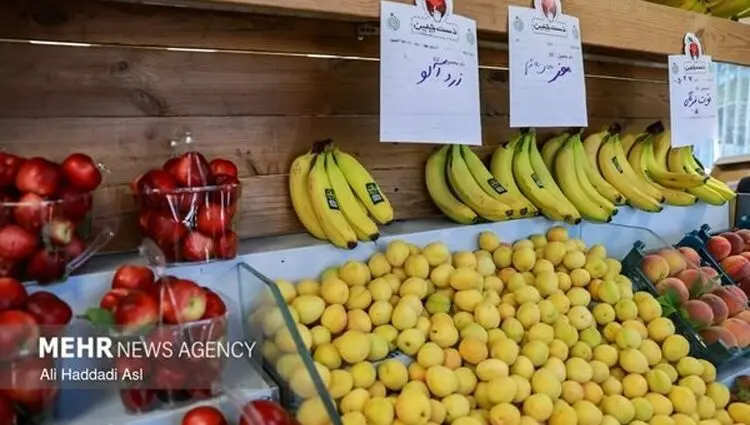 بحران عرضه در بازار میوه و تره‌بار؛ چرا قیمت محصولات کشاورزی در تابستان بالا می‌رود؟
