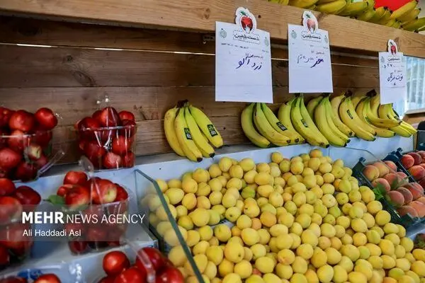 بحران عرضه در بازار میوه و تره‌بار؛ چرا قیمت محصولات کشاورزی در تابستان بالا می‌رود؟