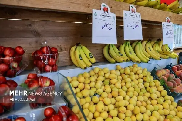 بحران عرضه در بازار میوه و تره‌بار؛ چرا قیمت محصولات کشاورزی در تابستان بالا می‌رود؟