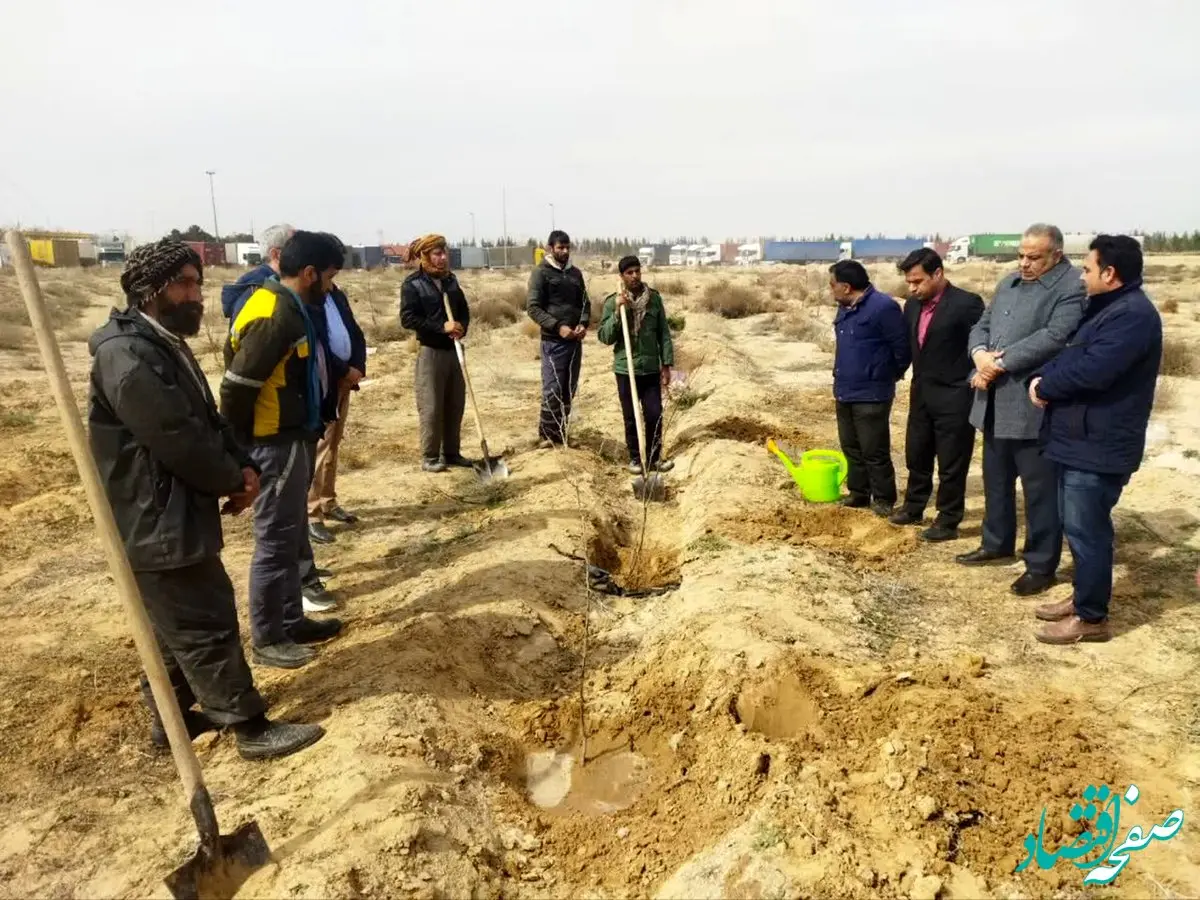 آغاز رویداد بزرگ درختکاری در منطقه  ویژه اقتصادی سرخس