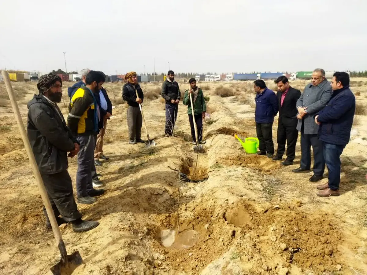 آغاز رویداد بزرگ درختکاری در منطقه  ویژه اقتصادی سرخس