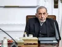 واکنش کوبنده ولایتی به اقدام جنجالی جمهوری آذربایجان