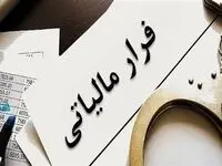 سامانه سوت زنی راه اندازی شد! بدون افشای هویت سوت بزنید ۵۰۰ میلیون جایزه بگیرید/ فیلم 